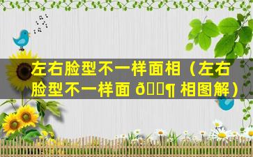 左右脸型不一样面相（左右脸型不一样面 🐶 相图解）